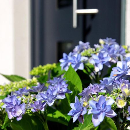 V Rajske Zahrade Apartment Tvrdonice ภายนอก รูปภาพ